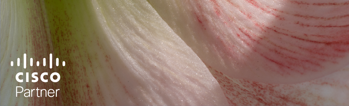 Cisco Meraki lunga_4 Cisco Managed Service